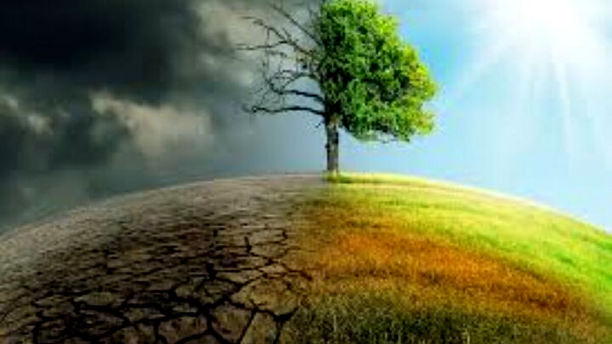 تدوین برنامه ملی درس محیط زیست، حرکت به سوی آموزش از مهد کودک تا پایان متوسطه 