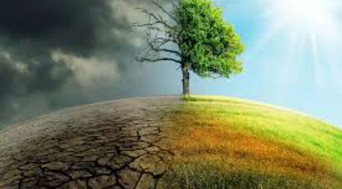 محیط زیست در خطر است