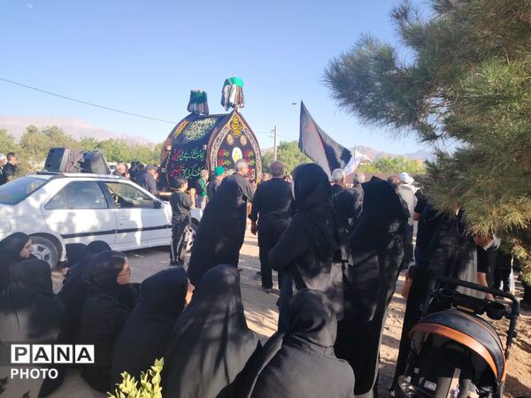 نخل‌برداری روز عاشورا در روستای صالح آباد شهرستان تفت