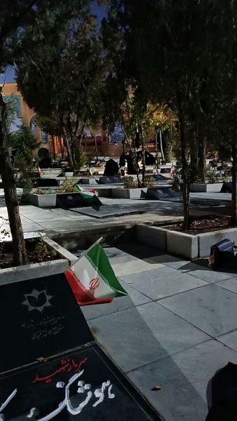 دختران شاهد فاطمه‌زهرا(س) در گلزار شهدا، قبور مطهر را به رنگ عشق آراستند