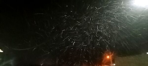بارش برف پاییزی در شهرزیبای بار نیشابور 