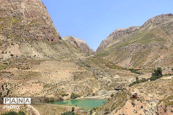 کوه های شهر بار ذخیره‌گاه گیاهان ارزشمند و کم نظیر دارویی 