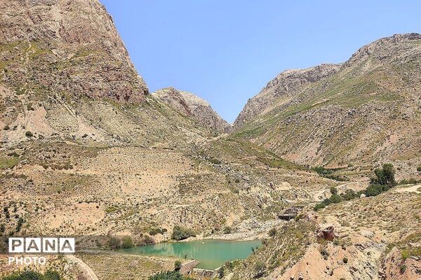 کوه های شهر بار ذخیره‌گاه گیاهان ارزشمند و کم نظیر دارویی 