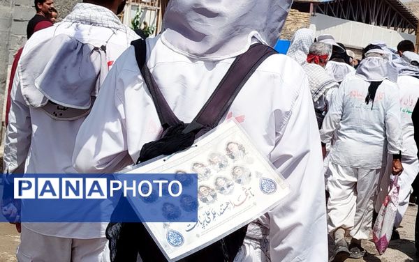 کاروان پیاده انصارالحسین به منطقه خانمیرزا رسید 