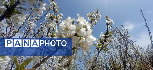 طبیعت بی نظیر روستا سربالا بهترین گزینه برای طبیعتگردی در فصل بهار