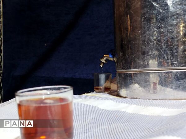 موکب پارک زائر در صد و بیست و نهمین شب