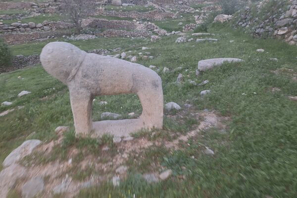 قبرستانی تاریخی و سرسبز به قدمت چند صد ساله در فارس