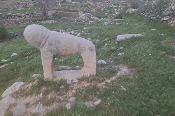 قبرستانی تاریخی و سرسبز به قدمت چند صد ساله در فارس