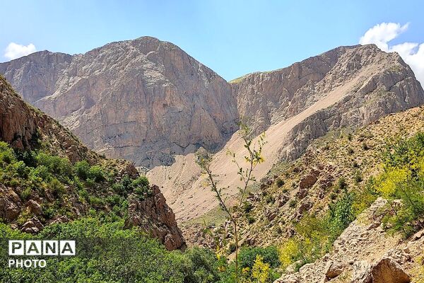 کوه های شهر بار ذخیره‌گاه گیاهان ارزشمند و کم نظیر دارویی 