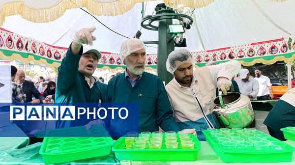 جشن بزرگ امام رضایی‌ها در پایتخت