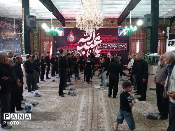 میزبانی هیئت شاهزاده قاسم از آیین دسته‌روی هیئت‌های فدافن 