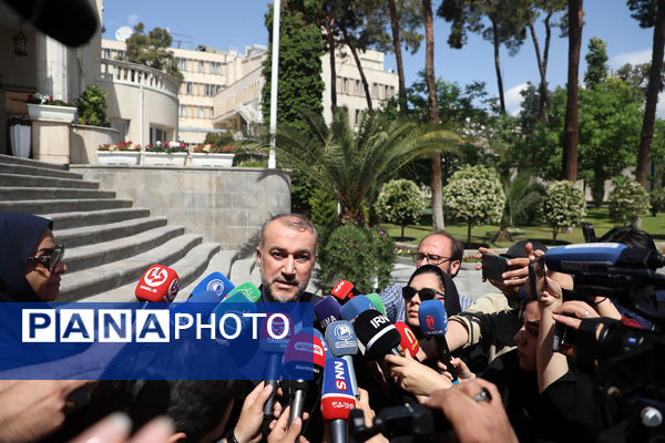 دیپلمات شهید