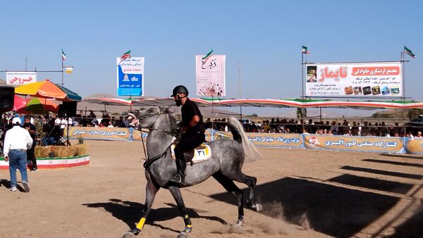 مراسم شوسواره کشوری ارسباران در اهر