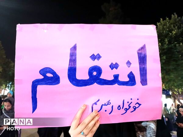  نود و یکمین شب از اجتماعات در حسینیه امام خمینی میهمان قاب پانا