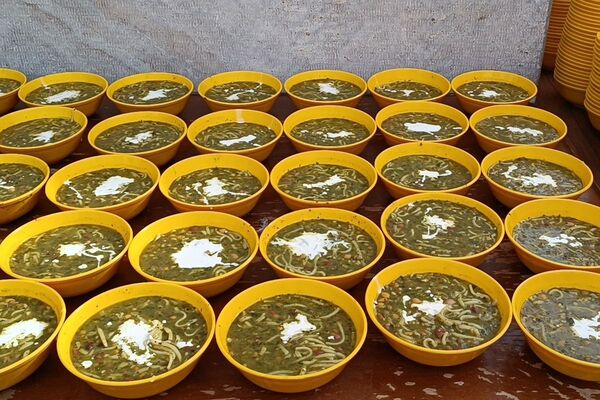 "لبیک یا مهدی" دانش‌آموزان پیشوا در دبستان علامه طباطبایی