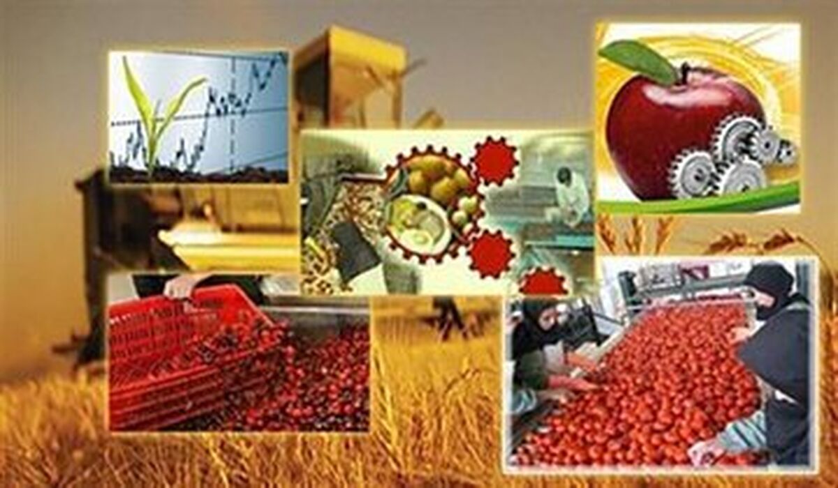 درخواست وزیر اقتصاد از وزارت صمت جهت صدور پروانه کسب برای متقاضیان کمتر از ۱۸ سال