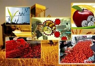 درخواست وزیر اقتصاد از وزارت صمت جهت صدور پروانه کسب برای متقاضیان کمتر از ۱۸ سال