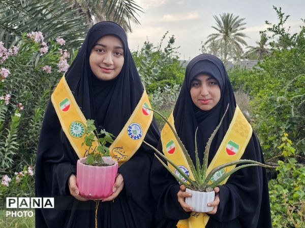 کاشت نهال به یاد دانش‌آموزان شهید مدرسه شجره طیبه میناب در سندرک