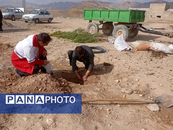 کاشت نهال در آرامستان روستای گزکوه