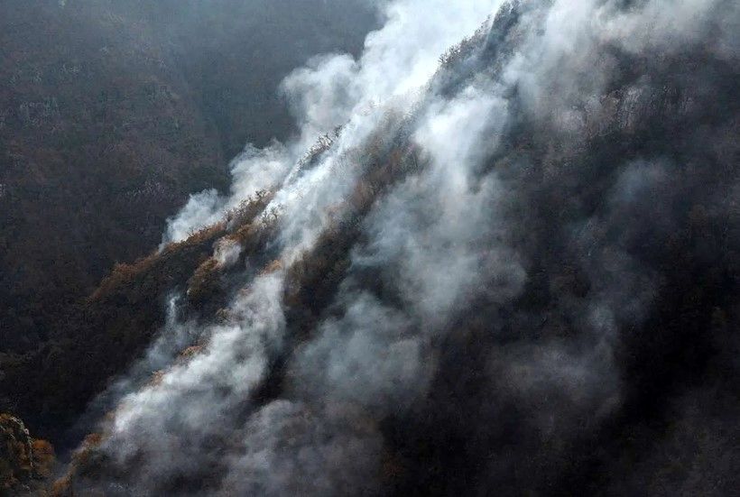 آتش‌سوزی جنگل‌های الیت مهار شد