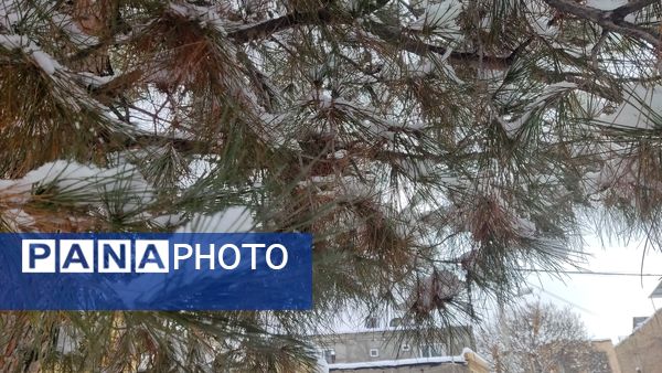 خراسان رضوی به استقبال زمستان رفت