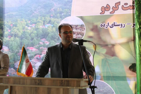 جشن شکر گزاری برداشت گردو 
