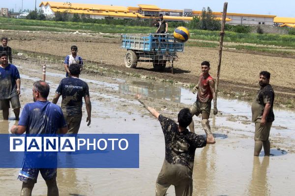 جشنواره فرهنگی و ورزشی بازی‌های شالیزاری در گلوگاه 