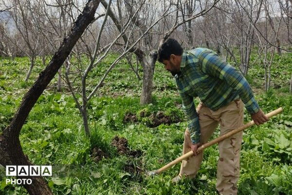 سیزده بدر روز طبیعت ۱۴۰۵در شهر بار نیشابور 
