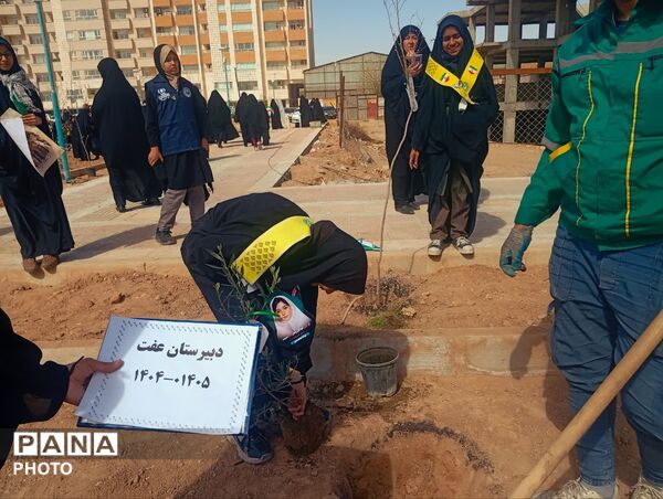 دانش‌آموزان دبیرستان عفت در کاشت ۱۰۰۰ درخت شریک شدند