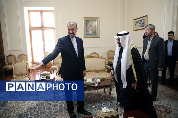 دیپلمات شهید