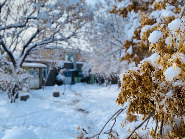 بارش برف جلوه ای از نعمت الهی در روزهای سفید باخرز