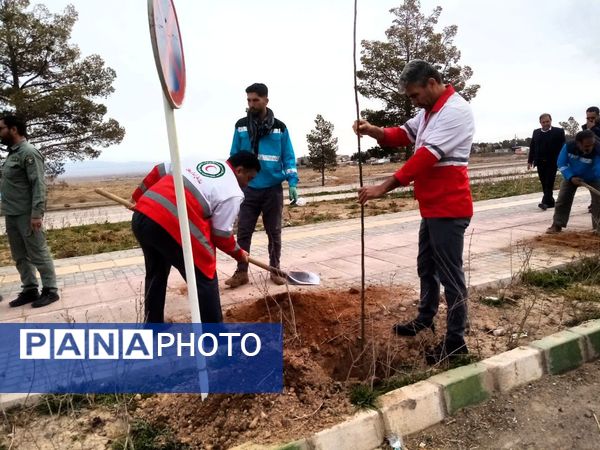 روز درختکاری در تربت جام