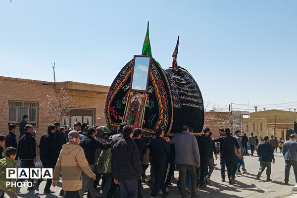 نخل‌برداری بنادکوک‌دیزه در سوگ امام علی (ع)