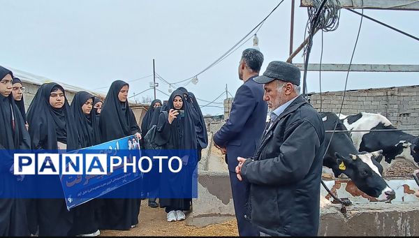 اردو راهیان پیشرفت در خلیل آباد