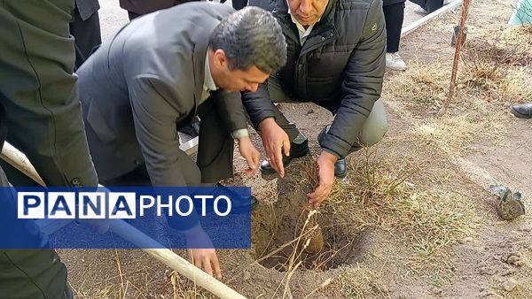 مراسم درخت‌کاری در زنجان