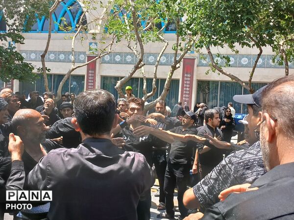 عاشورا؛ روایت دلدادگی در قاب اشک و ارادت 