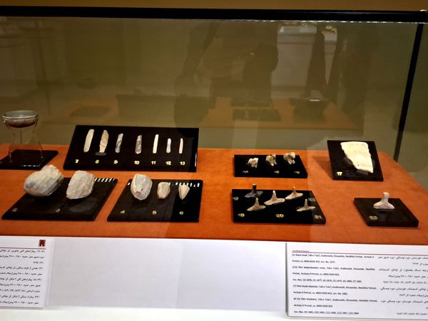 گشتی در تاریخ؛ از مدرسه دارالفنون به سمت دوره ایران باستان