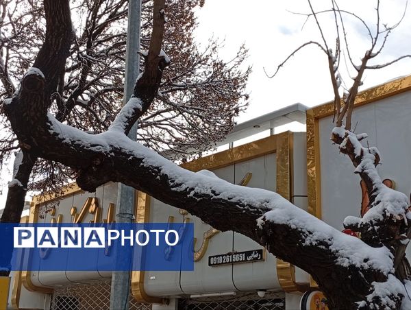 برف میهمان کاشمر شد