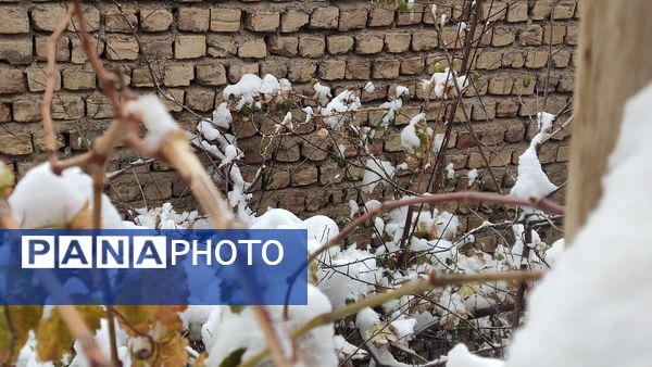 خراسان رضوی به استقبال زمستان رفت
