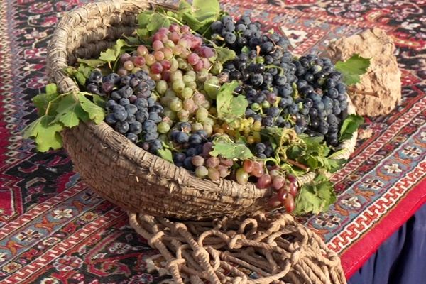 جشنواره انگور در بقعه پیر؛ روایت شیرین از توانمندی‌های بومی و آیین‌های کهن
