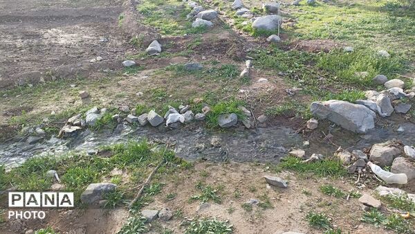 بهار در دامان طبیعت کاشمر؛ تصاویری دیدنی از کوه ها، شکوفه‌ها و سبزی فروردین