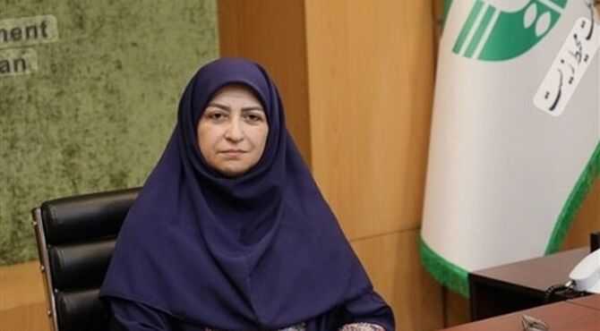 پاکسازی سواحل جنوبی قشم و جزیره هنگام از آلودگی نفتی