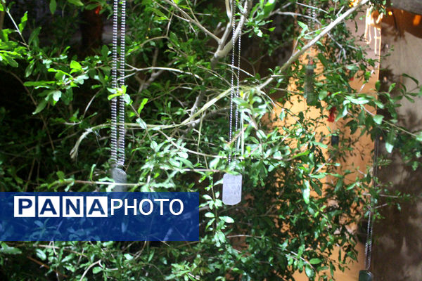 روایتگری طلاب جوان در یادواره شهدای مدرسه حقانی قم