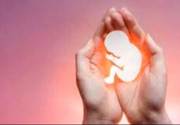 چالش‌های جوانی جمعیت؛ از کاهش ازدواج تا سقط جنین