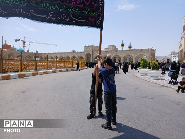 عاشورا؛ روایت دلدادگی در قاب اشک و ارادت 