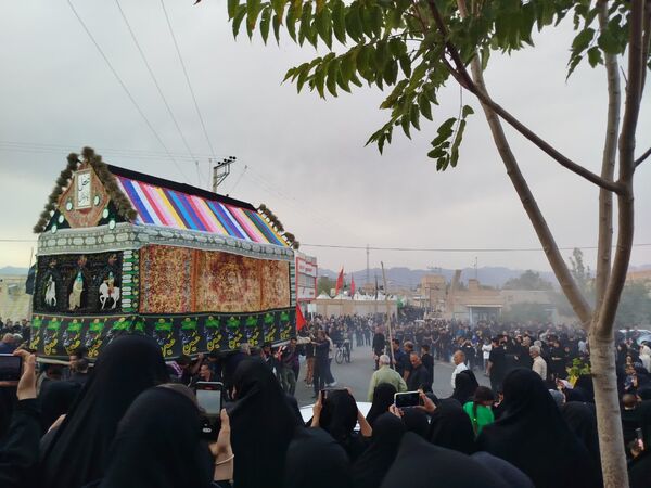 حرکت دسته بنی اسد در روستای فدافن