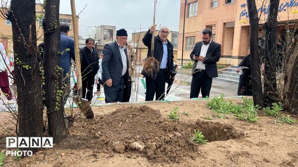 نهال‌ها در دبستان چلیچه به یاد شهدای مدرسه میناب می‌رویند