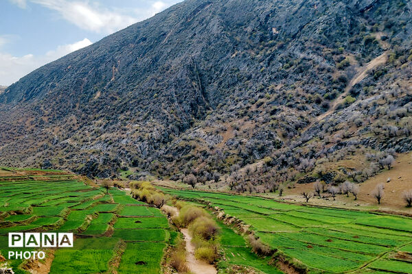  بهاریِ رنگارنگ در پل‌بریده
