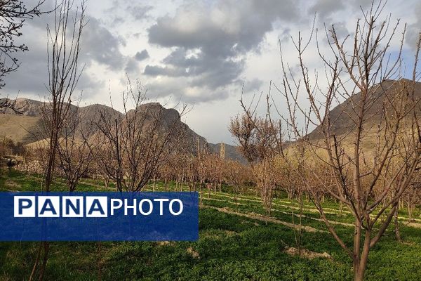 رویداد آیین باستانی سیزده بدر نیشابور در روز طبیعت از  قاب خبرنگاران پانا