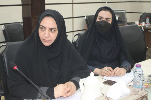 نشست شورای برنامه‌ریزی و نظارت تعلیم و تربیت کودک آموزش و پرورش استان بوشهر
